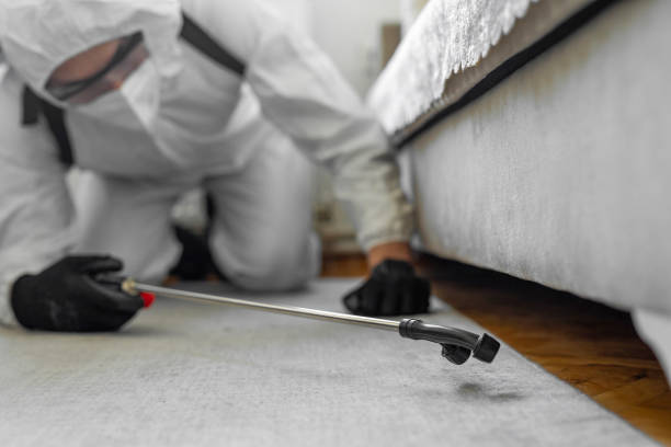 Professional Rodent Control technician working in California, CA